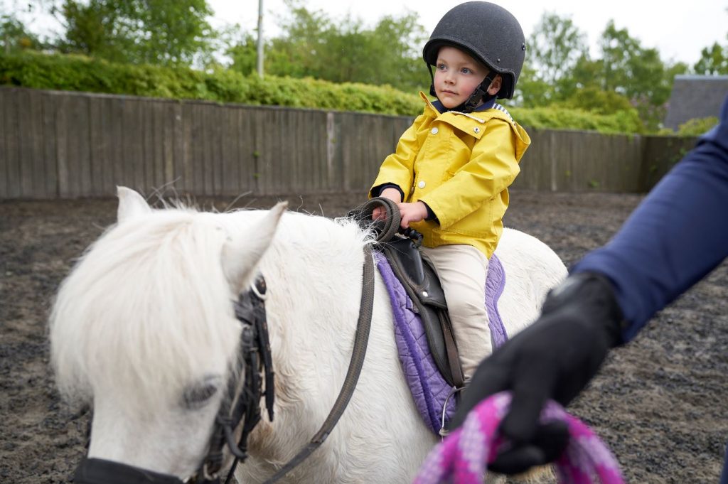 Pony Rides