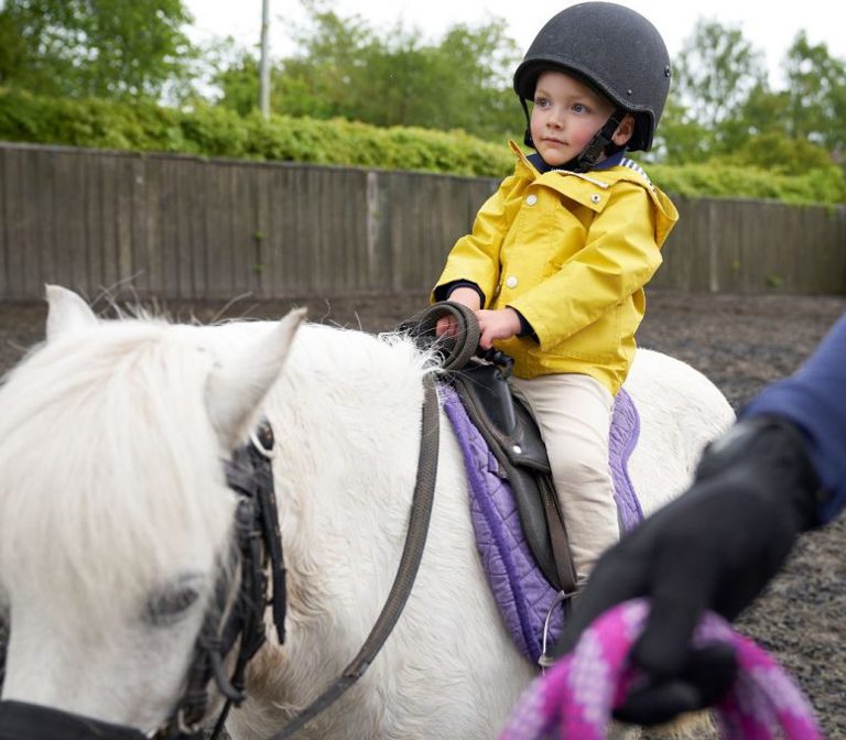 Pony Rides