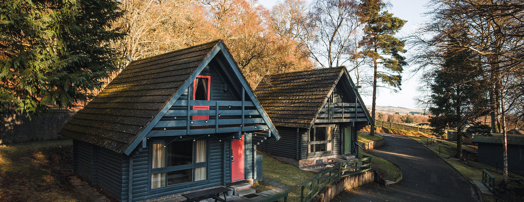 Cozy Cabins