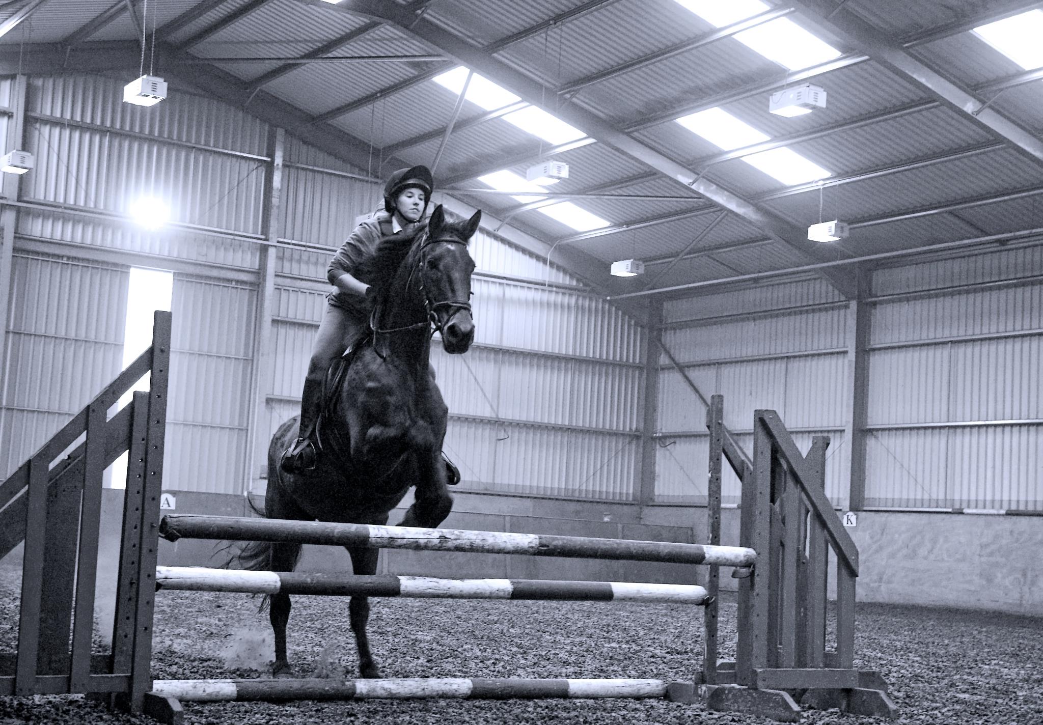 Horse Riding Private Lesson