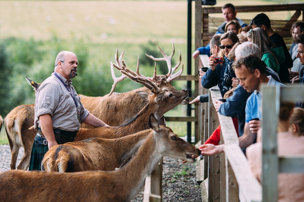 Highland Safaris