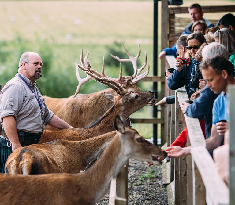 Highland Safaris