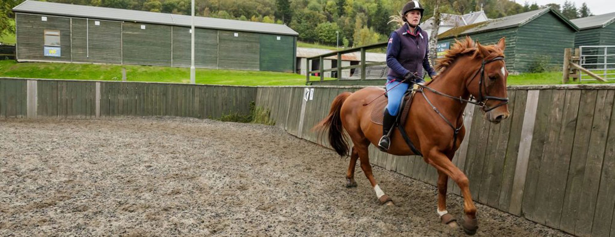 Horse Riding Group Lesson